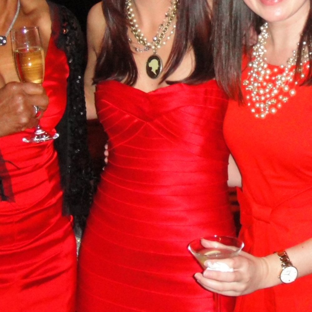 Valentines Gown! Floor Length BCBG Red Layered Fitted Dress